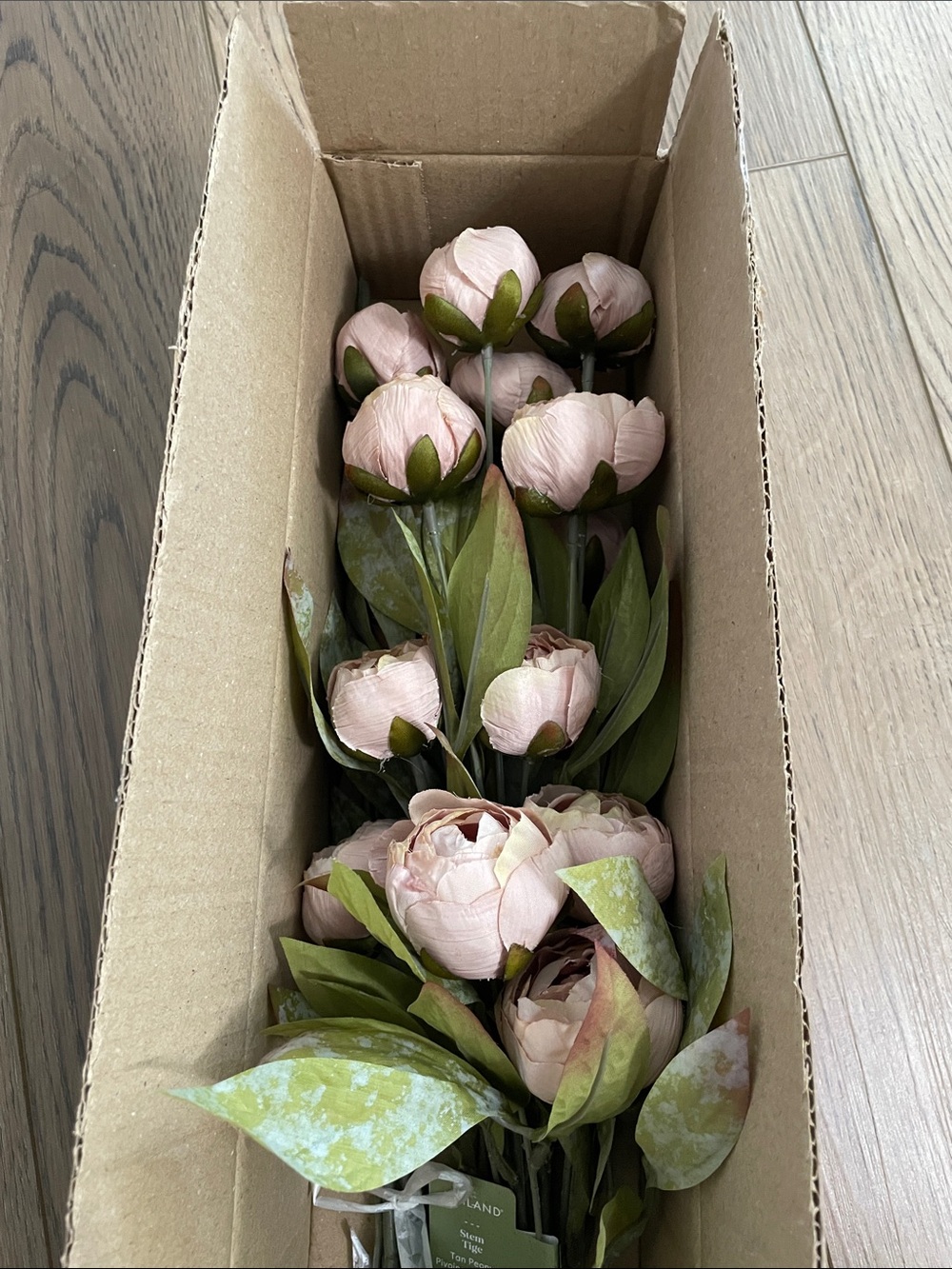 (8) Tan Peony Stems by Ashland‎ NEW